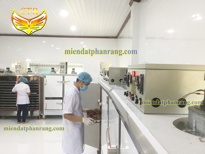 xưởng sấy nho khô cánh trắng